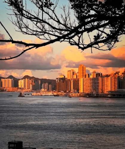香港 臺 胞 證