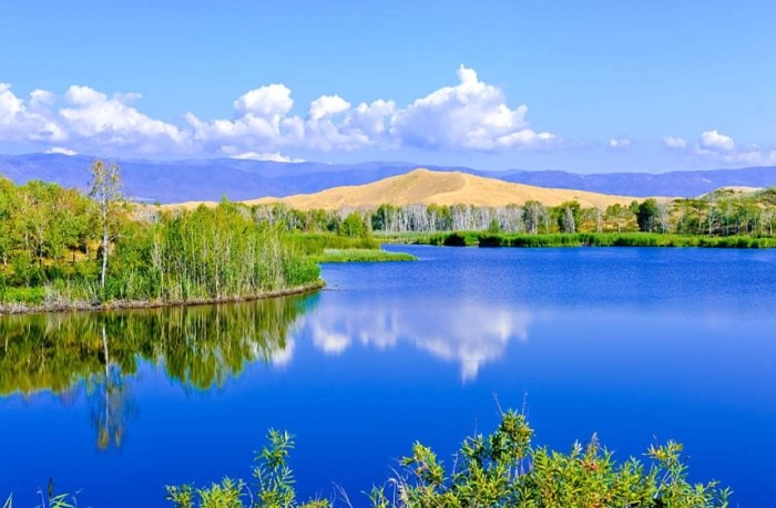 阿勒泰景點