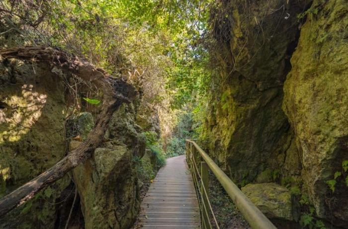 柴山步道登山口