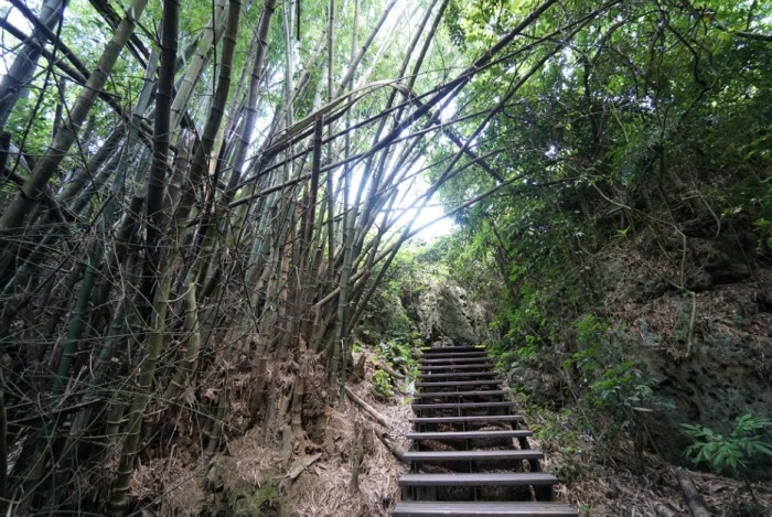 柴山