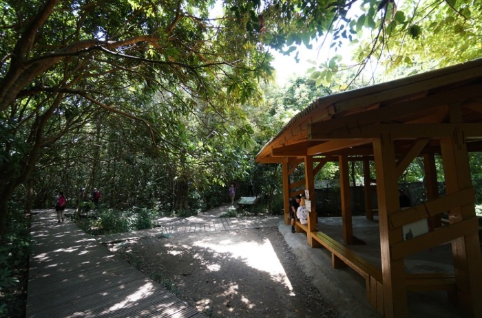 柴山步道登山口 柴山步道登山口