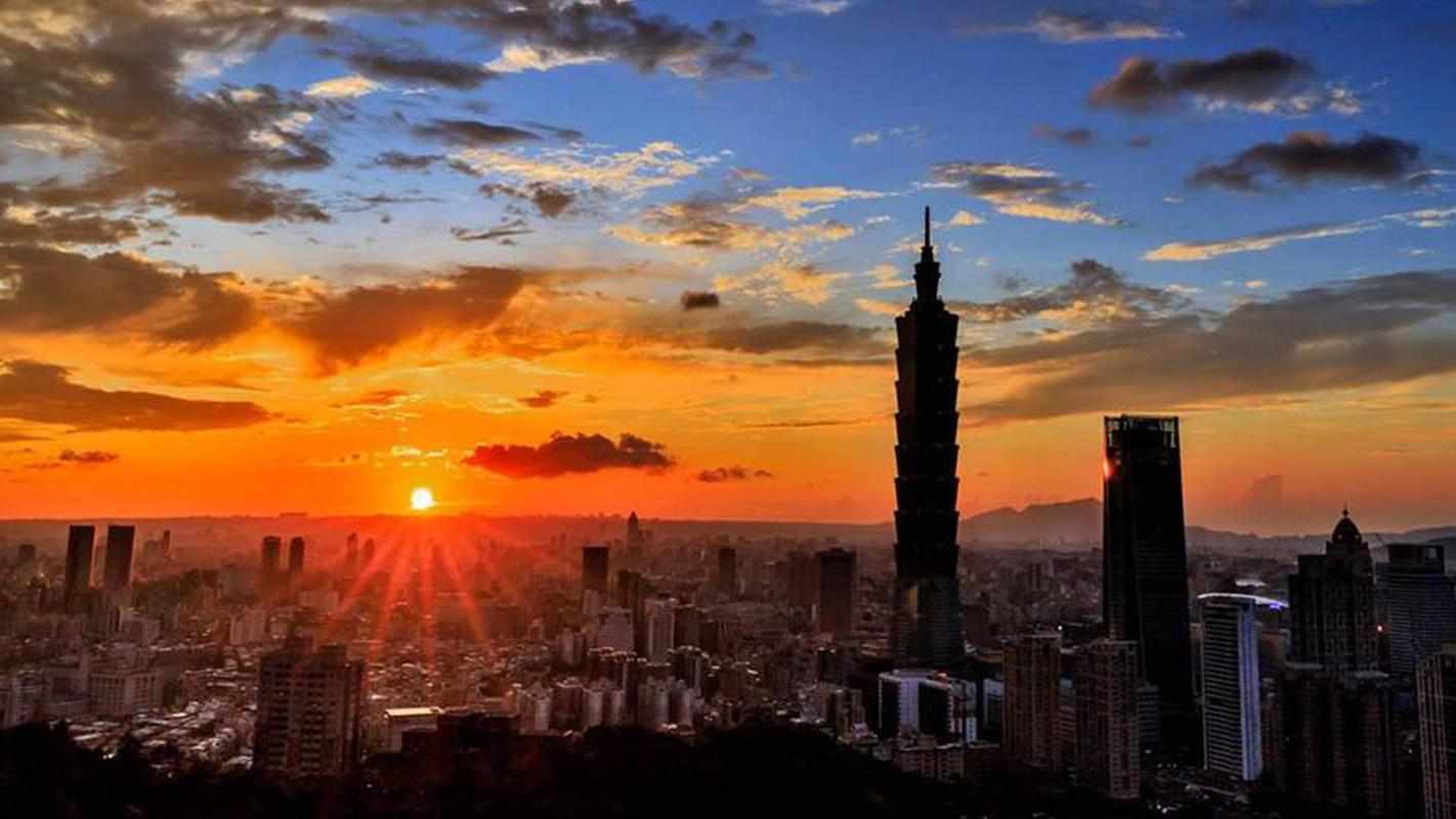 台證查詢申請結果 台證查詢申請結果