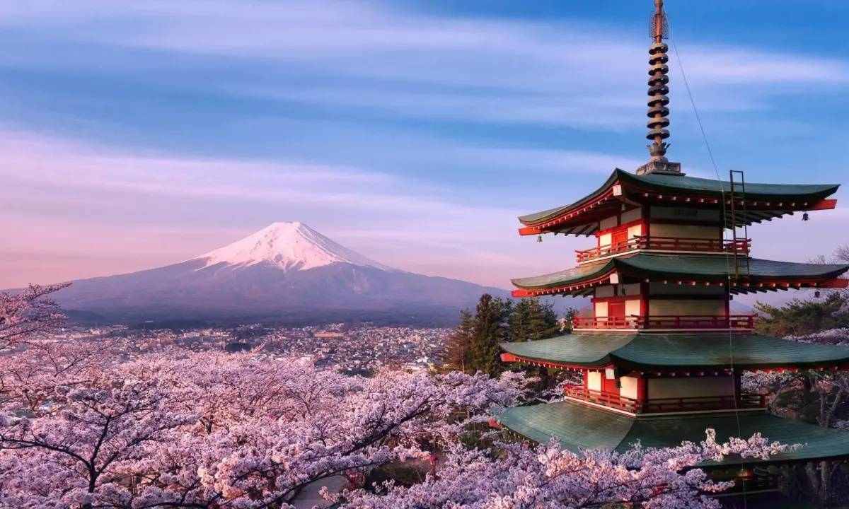 移民日本政策 移民日本政策